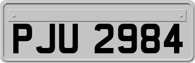 PJU2984
