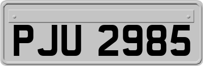 PJU2985
