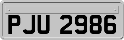 PJU2986