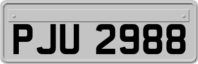 PJU2988