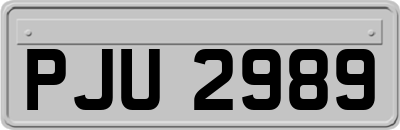 PJU2989