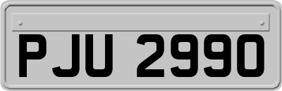 PJU2990