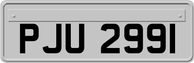 PJU2991
