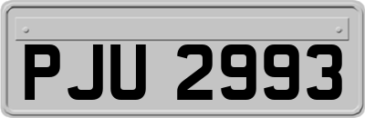 PJU2993