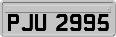 PJU2995