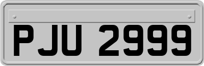 PJU2999