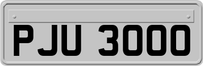 PJU3000