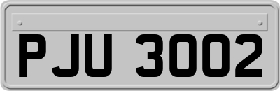PJU3002