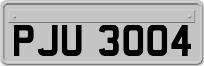 PJU3004
