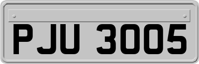 PJU3005