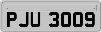 PJU3009