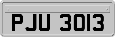 PJU3013