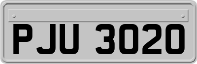 PJU3020