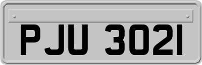 PJU3021