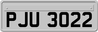 PJU3022