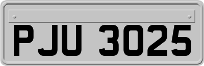 PJU3025