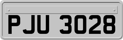 PJU3028