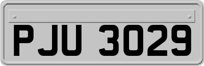 PJU3029