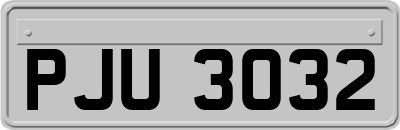 PJU3032