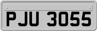 PJU3055