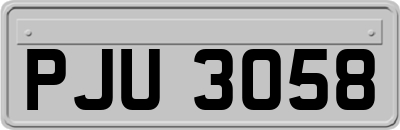 PJU3058