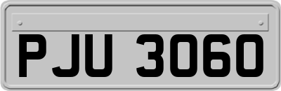 PJU3060