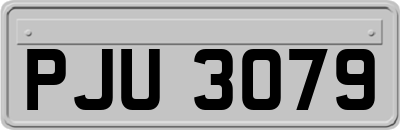 PJU3079