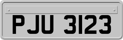PJU3123