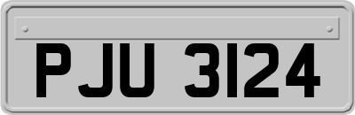 PJU3124