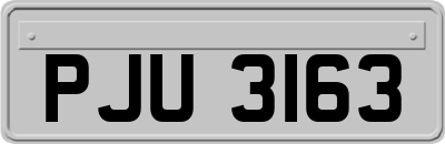PJU3163