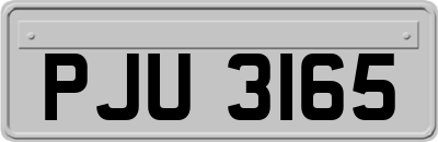 PJU3165
