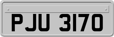 PJU3170