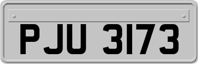 PJU3173
