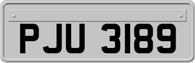 PJU3189