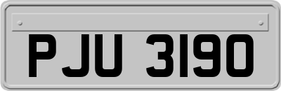 PJU3190