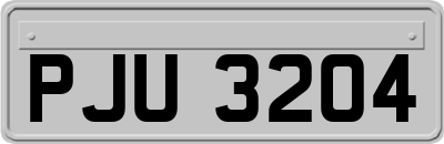 PJU3204