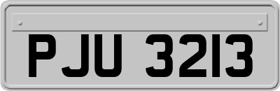 PJU3213