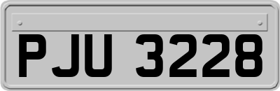 PJU3228