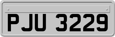 PJU3229