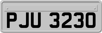 PJU3230
