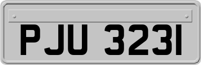 PJU3231