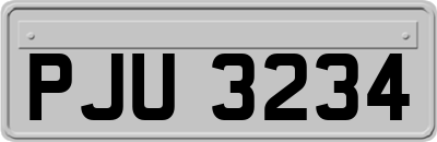 PJU3234