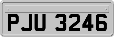 PJU3246