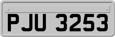 PJU3253