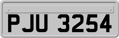 PJU3254