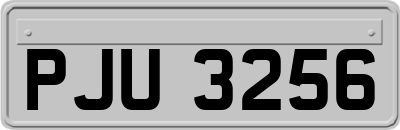 PJU3256