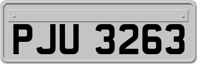 PJU3263
