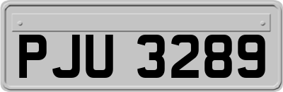 PJU3289