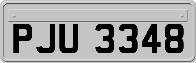 PJU3348