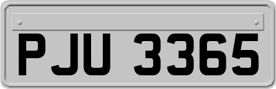PJU3365